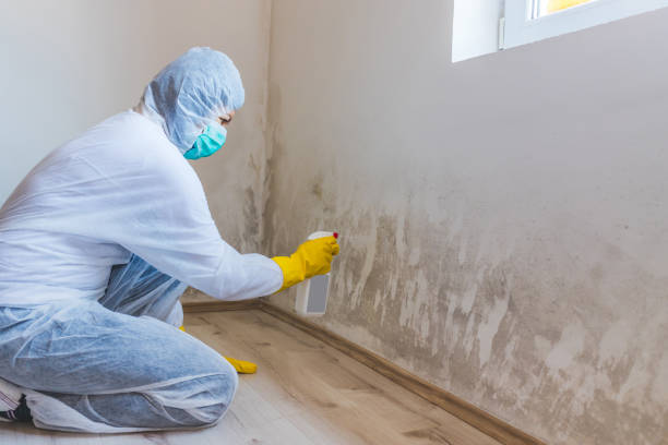 Hvac And Air Duct Mold Remediation inspection of HVAC system in Dallas