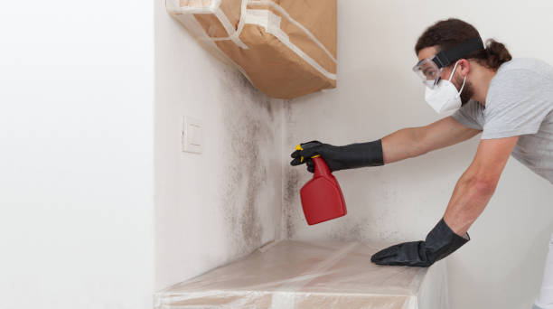 Attic Mold Remediation treatment on roof deck in Dallas