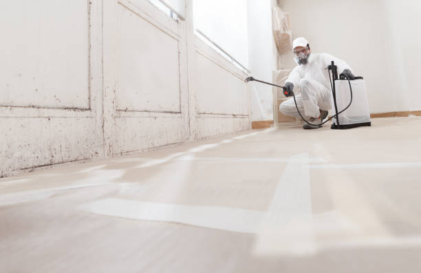 Post-remediation clearance in Dallas